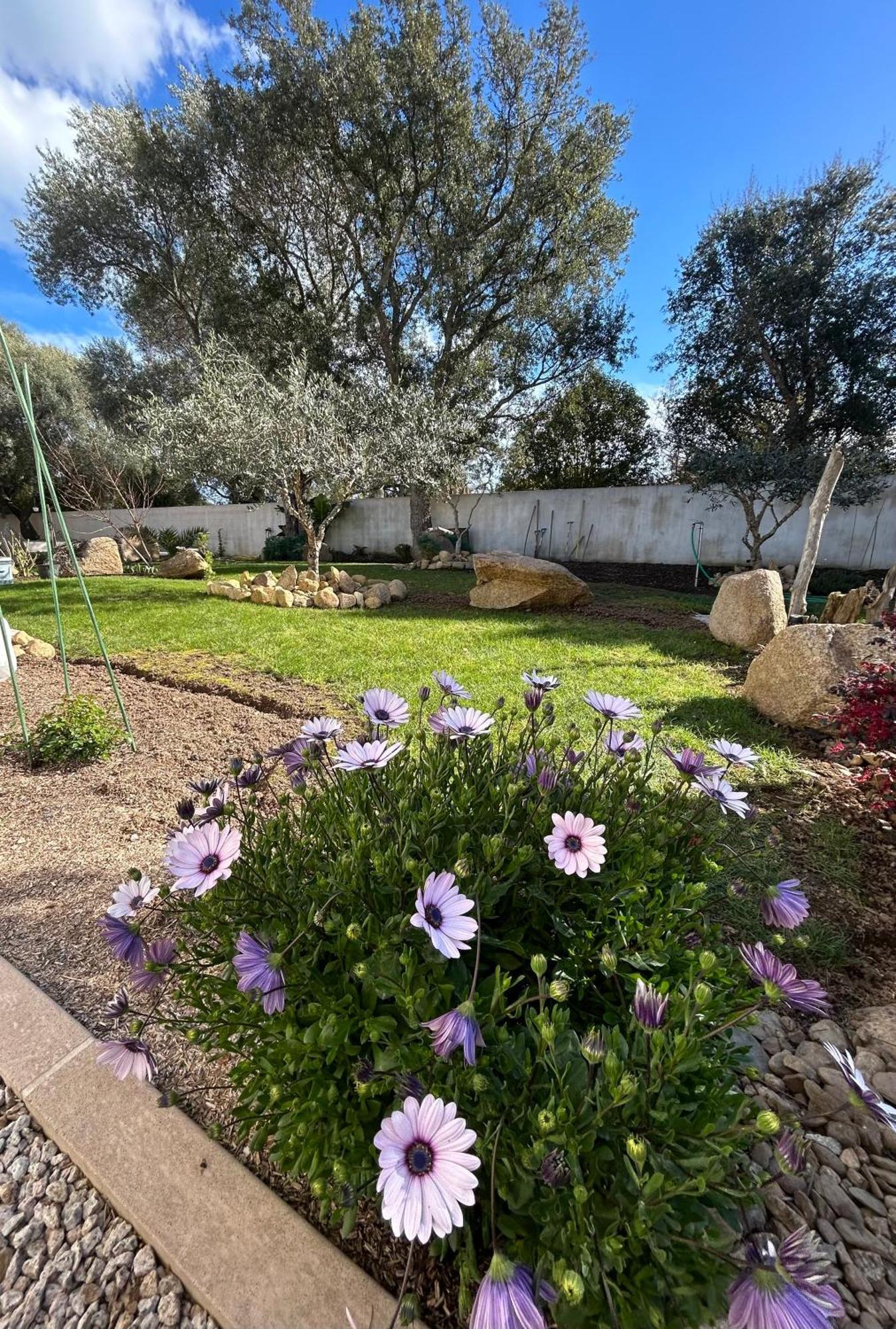 Mini Villa Pascal Paoli Avec Piscine - Proche Mer Prunelli-di-Fiumorbo Exterior foto