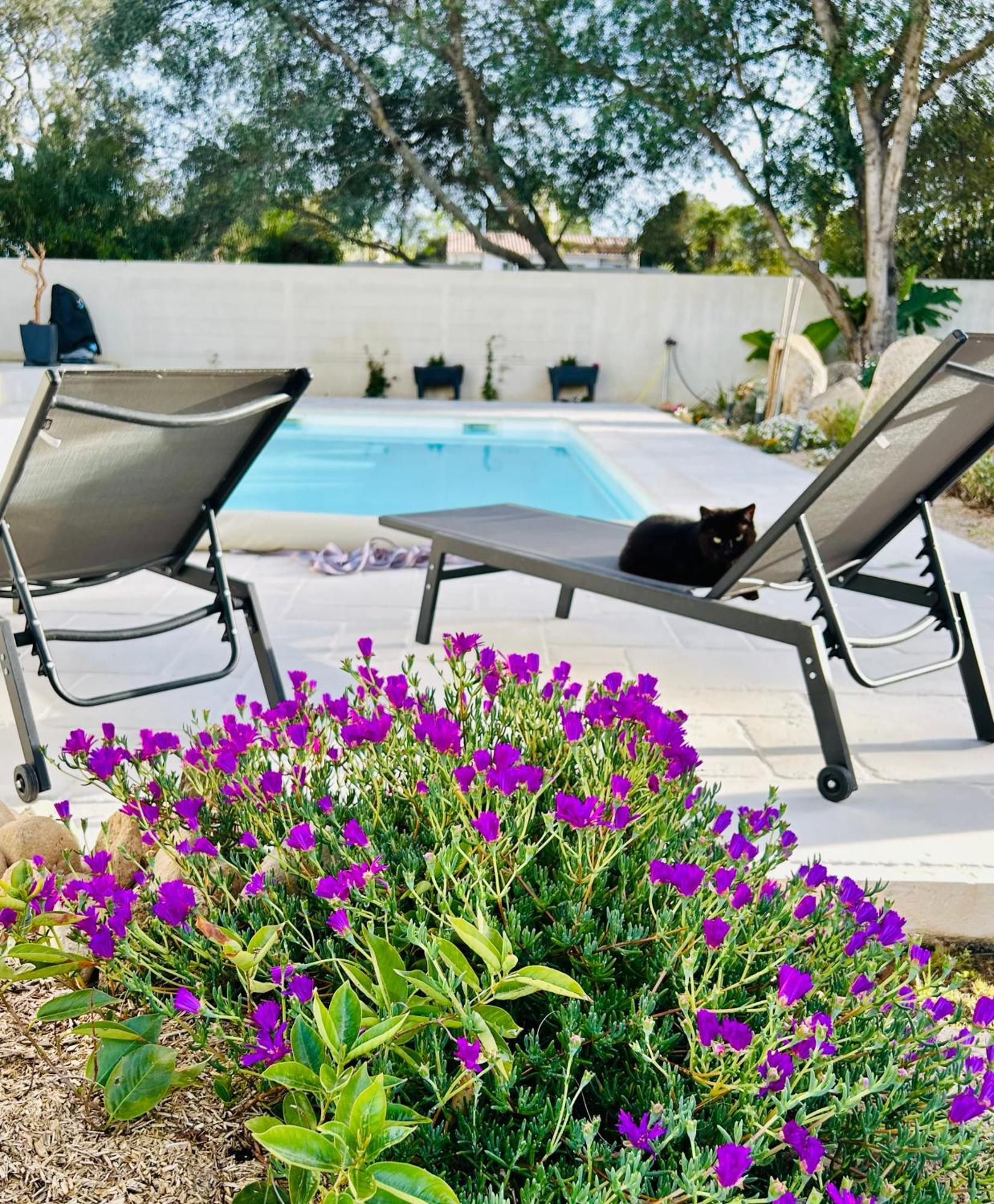 Mini Villa Pascal Paoli Avec Piscine - Proche Mer Prunelli-di-Fiumorbo Exterior foto